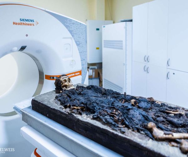 RS232795_0E1A8036_scl__SE